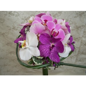 Buchet din orhidee Phalaenopsis
