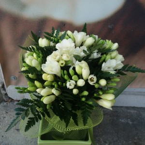 Buchet cu 31 frenzii,verdeață,plasa