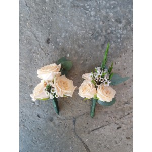 Coarda cu minirosa
