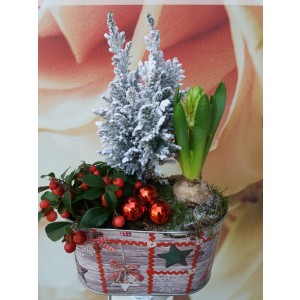 Aranjament cu plante