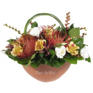 Cosulet cu leucospermum, alstroemerie