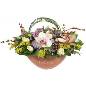 Cosulet cu orhidee, eustoma