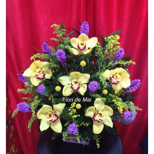 Aranjament Cymbidium