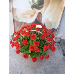 Cosuri de flori