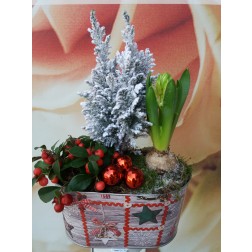 Aranjament cu plante