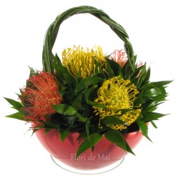 Cosulet cu leucospermum