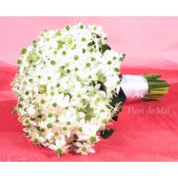 Buchet din ornitogalum