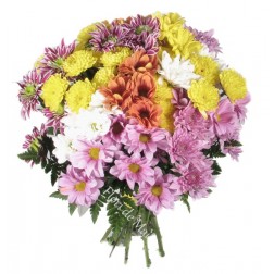 Buchet crizanteme multicolore