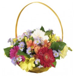 Cos cu gerbera, crizanteme, aster