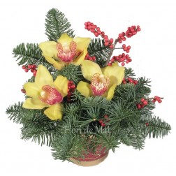 Aranjament de iarna cu orhidee (Cymbidium)