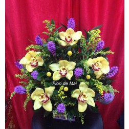 Aranjament Cymbidium