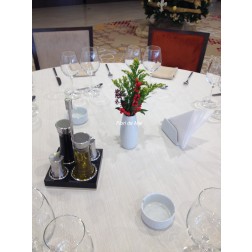 Aranjament Sala Cu Ilex