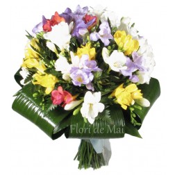 Buchet 45 frezii multicolore